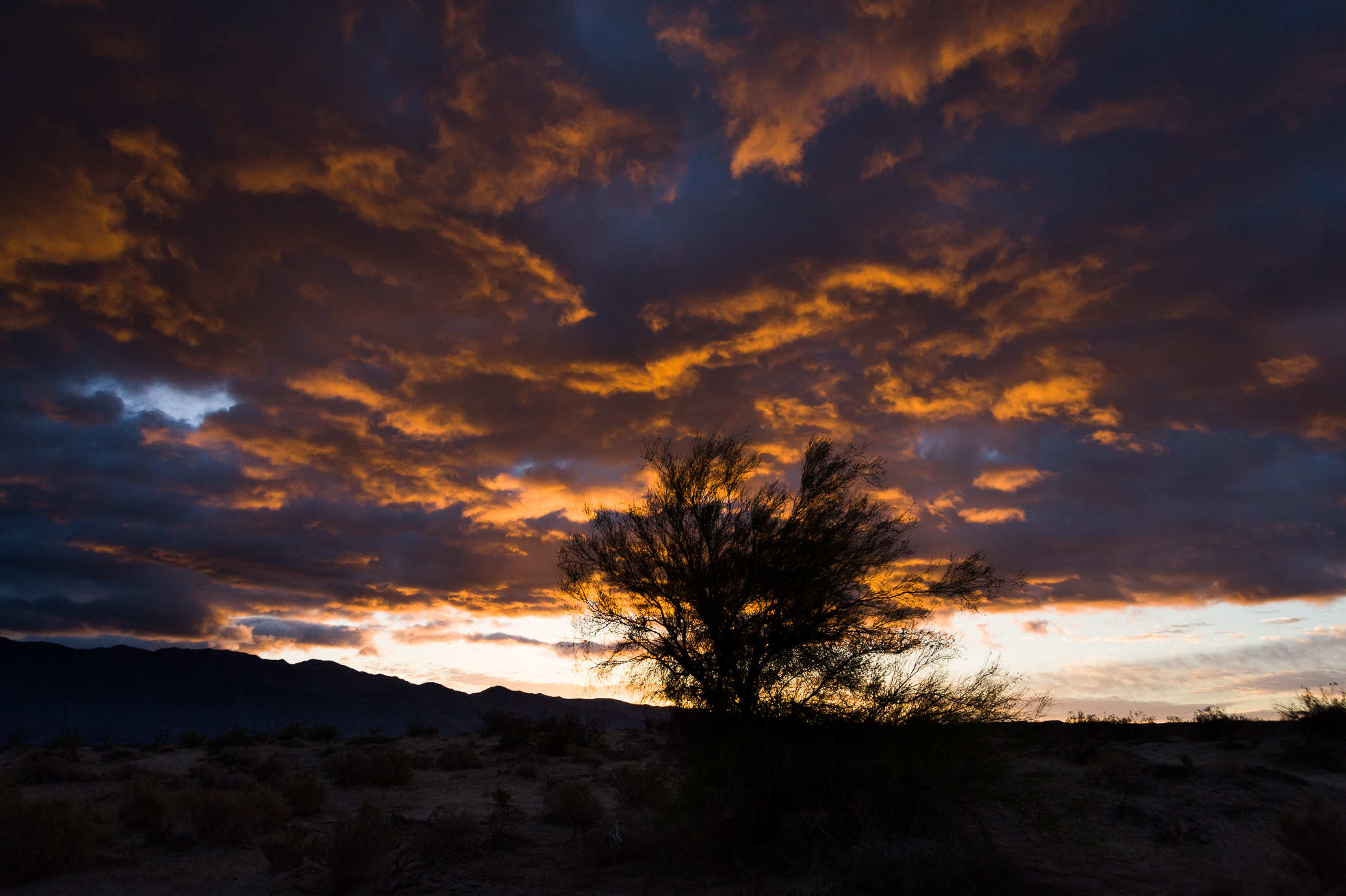 BadwaterSaltonSea2013-(20130506)-036