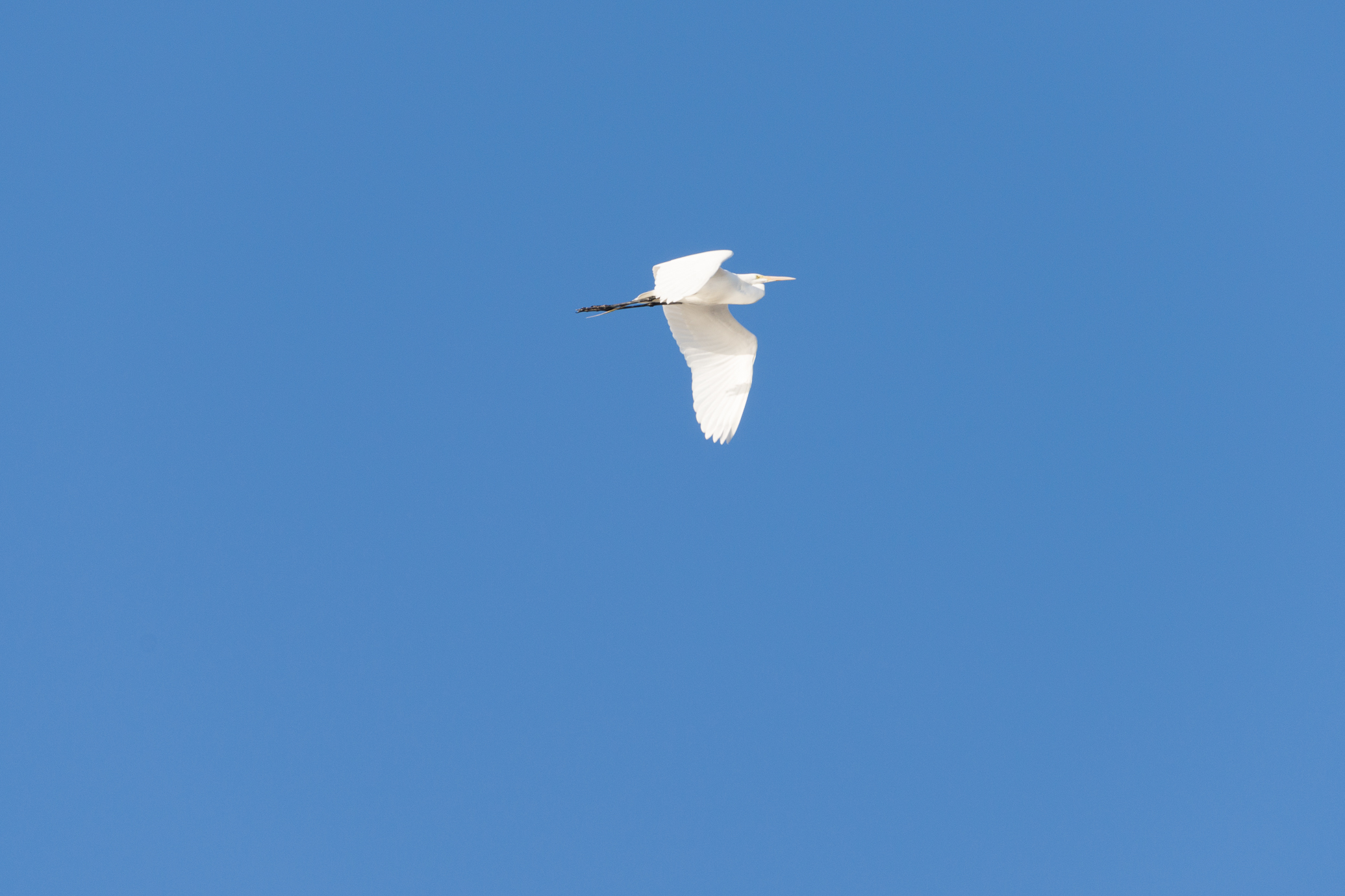 BadwaterSaltonSea2013-(20130506)-103