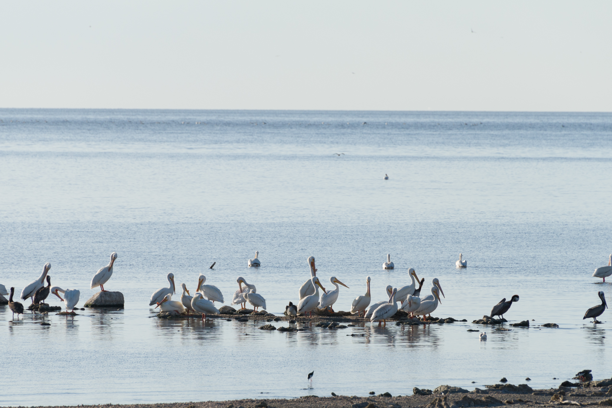 BadwaterSaltonSea2013-(20130506)-139